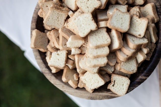 winvian-farm-wedding-morris-ct-photography-allyson-david-photos-greyhousestudios-featured-071