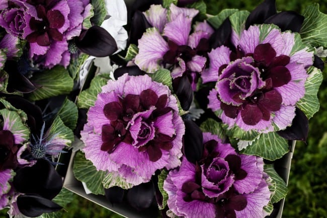 gershon-fox-ballroom-wedding-photos-same-sex-wedding-love-photos-hartford--ct-photography-dan-chris-greyhousestudios-featured-020